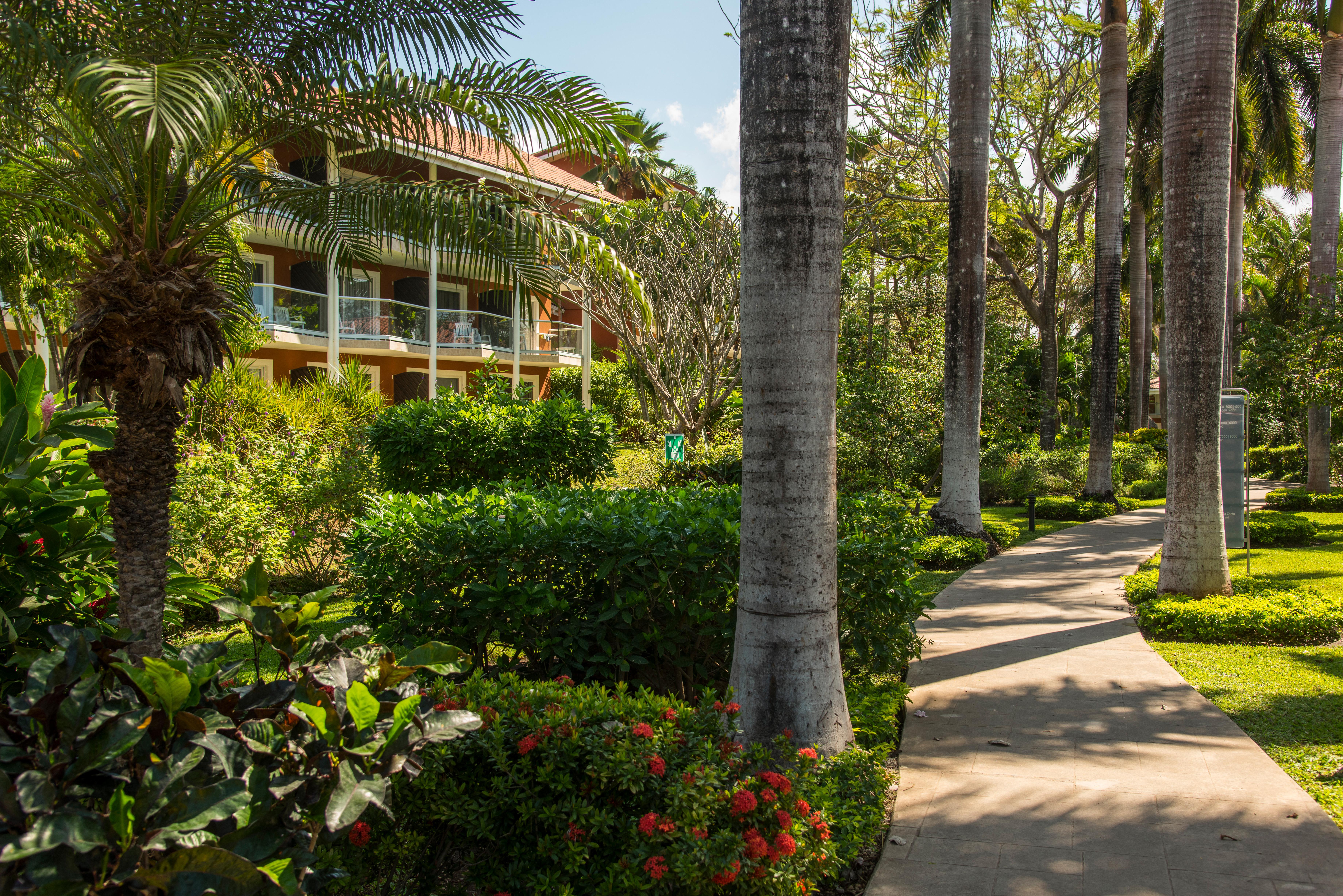 Occidental Tamarindo ALL INCLUSIVE Exterior foto